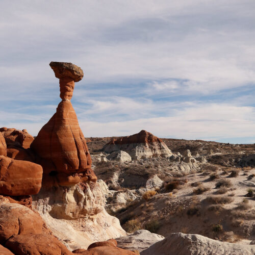 Toadstool Hoodoo