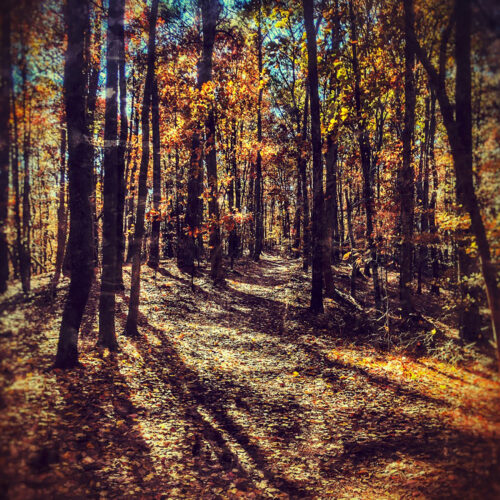 East Palisades Trail