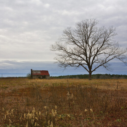 South Carolina Backroads