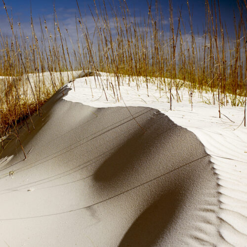 Saint George Island I