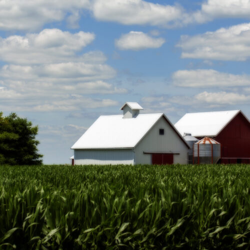 Farmland Somewhere in Iowa