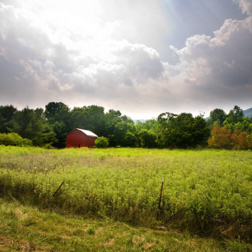 Virginia Summer Sky