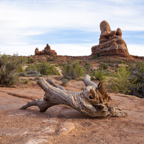 Arches National Park I