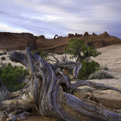 Delicate Arch