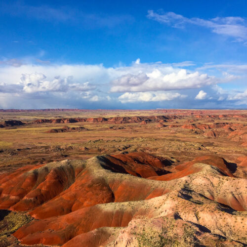 Painted Desert II