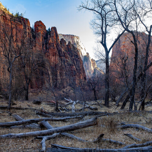 Zion Sunrise