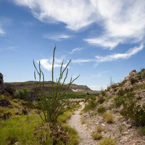 Big Bend I
