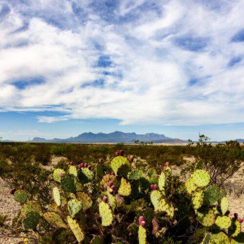 Big Bend II