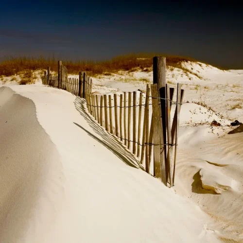 Saint George Island II