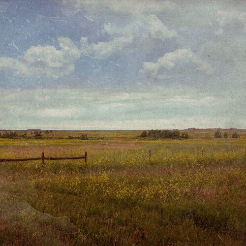 Grassland Landscape Exiting Yellowstone