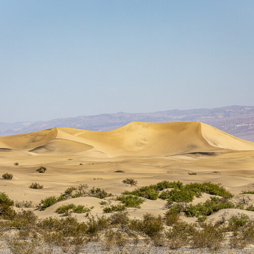 Death Valley Dune