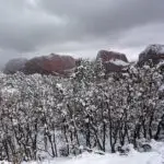 Snow on Kolob Canyon
