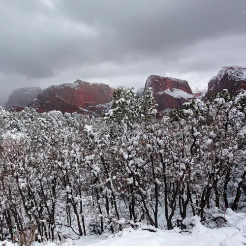 Snow on Kolob Canyon