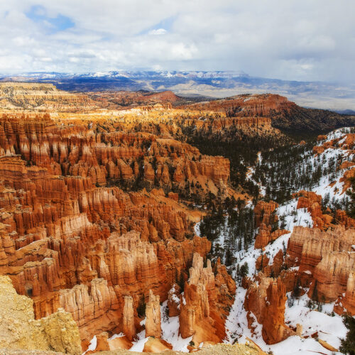 Bryce Canyon IV