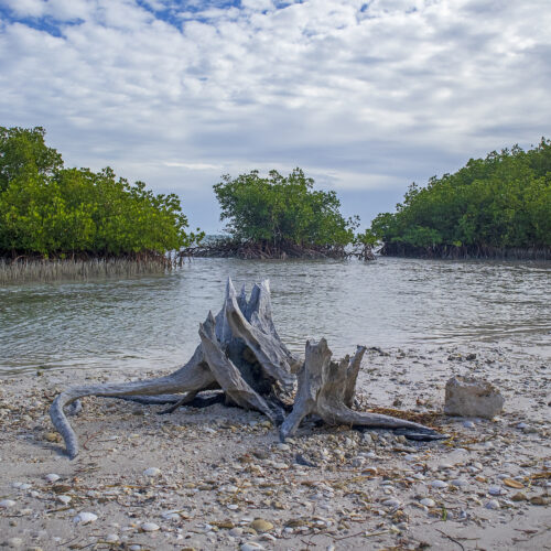 Seashell Beach, Biscayne Bay