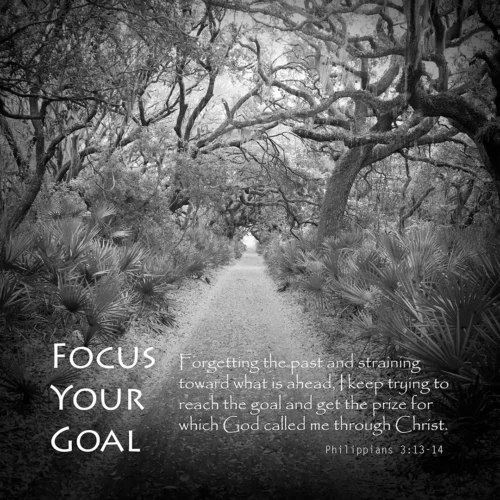 Focus Your Goal