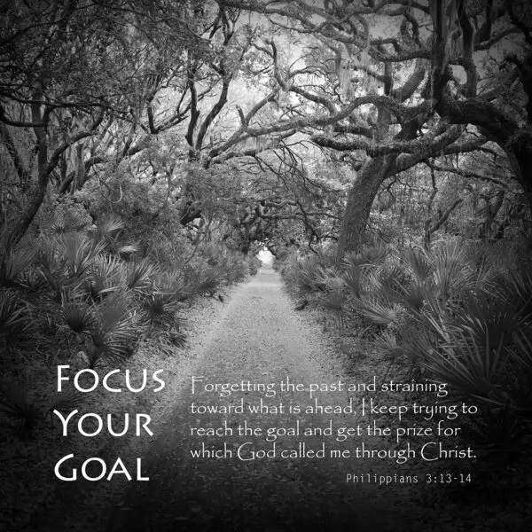 Focus Your Goal